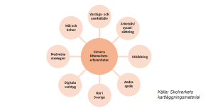 En stor cirkel i mitt där det står Elevens litteracitetserfarenheter. Runt den finns flera mindre cirklar med olika domäner där eleven kan ha haft erfarenhet av litteracitet. 